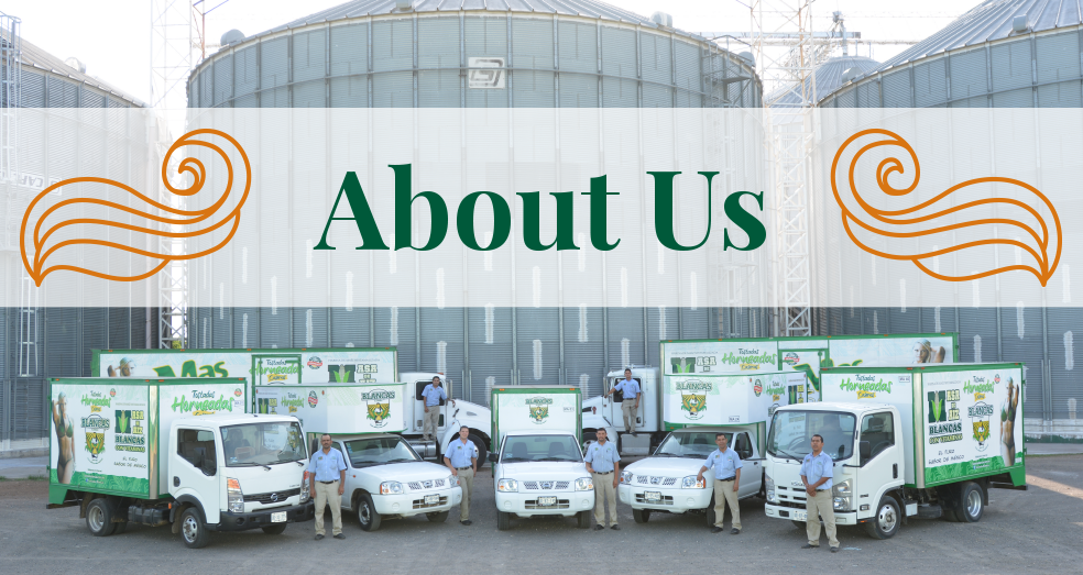 Nuestro Equipo de Tostaditas de Maíz Blancas