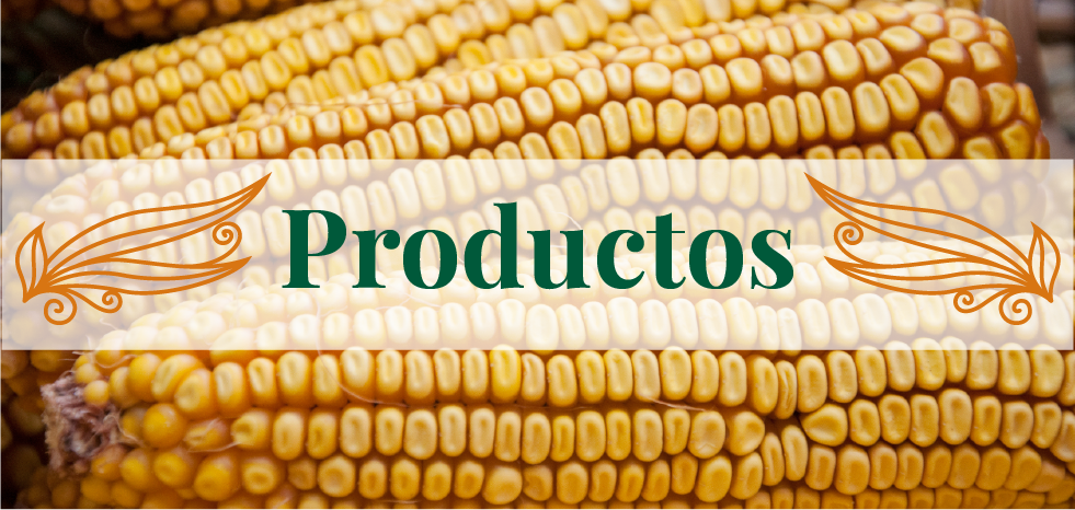 Tostaditas de Maíz Blancas