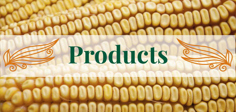 Tostaditas de Maíz Blancas